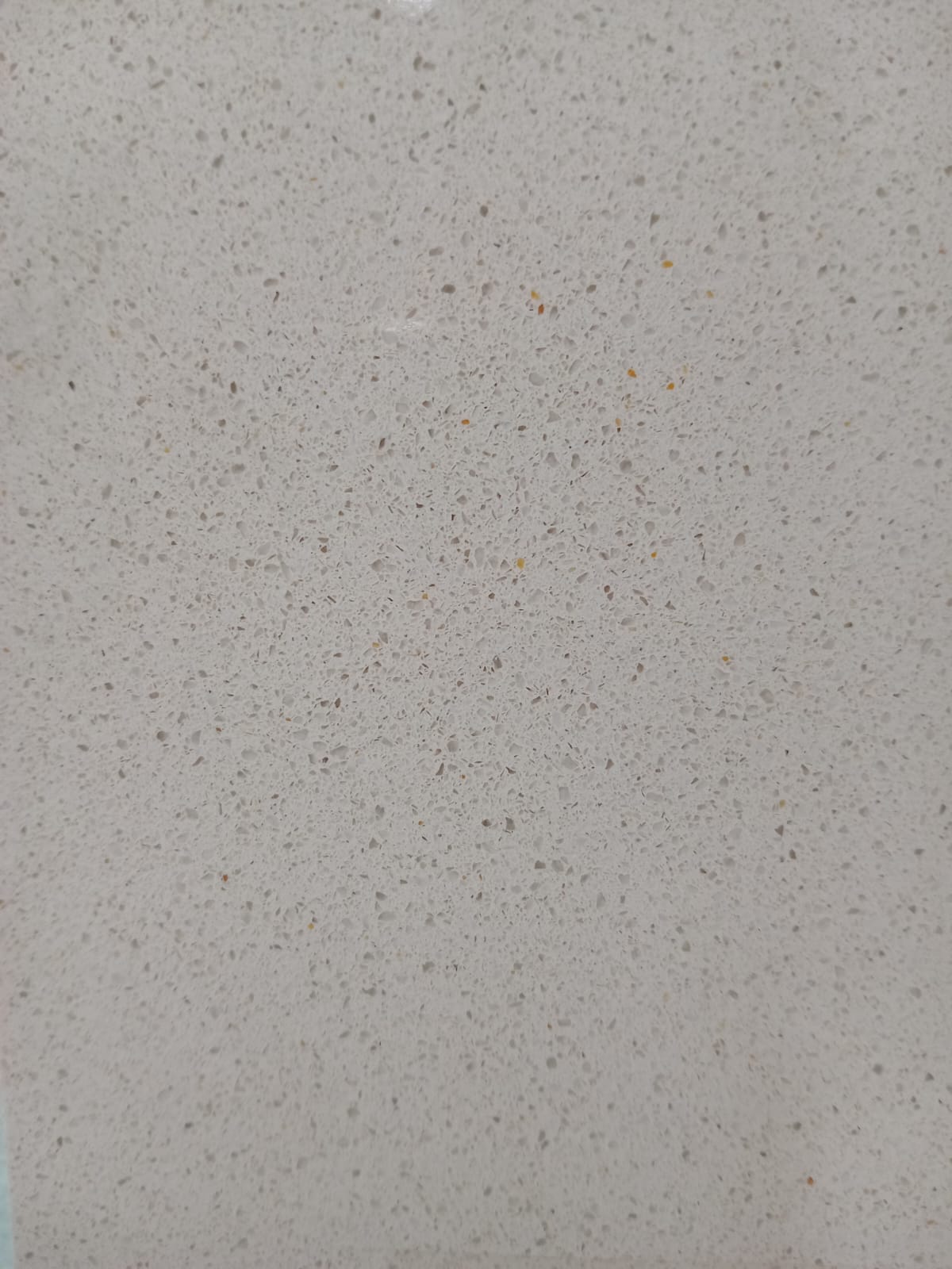 Crema Pisa