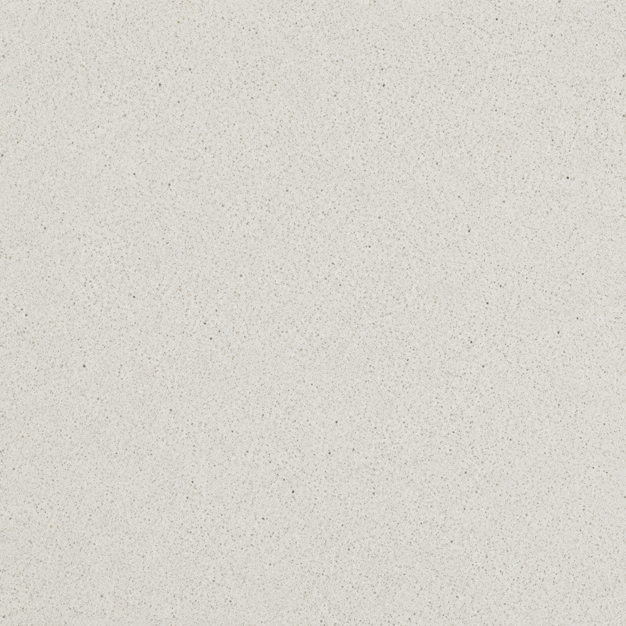 Blanco Paloma