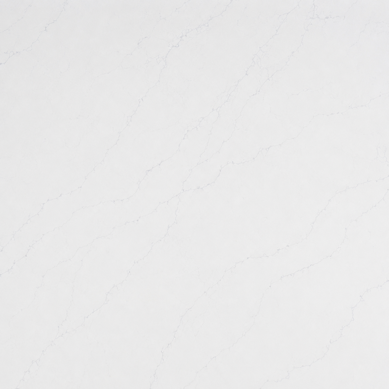 Blanco Icon