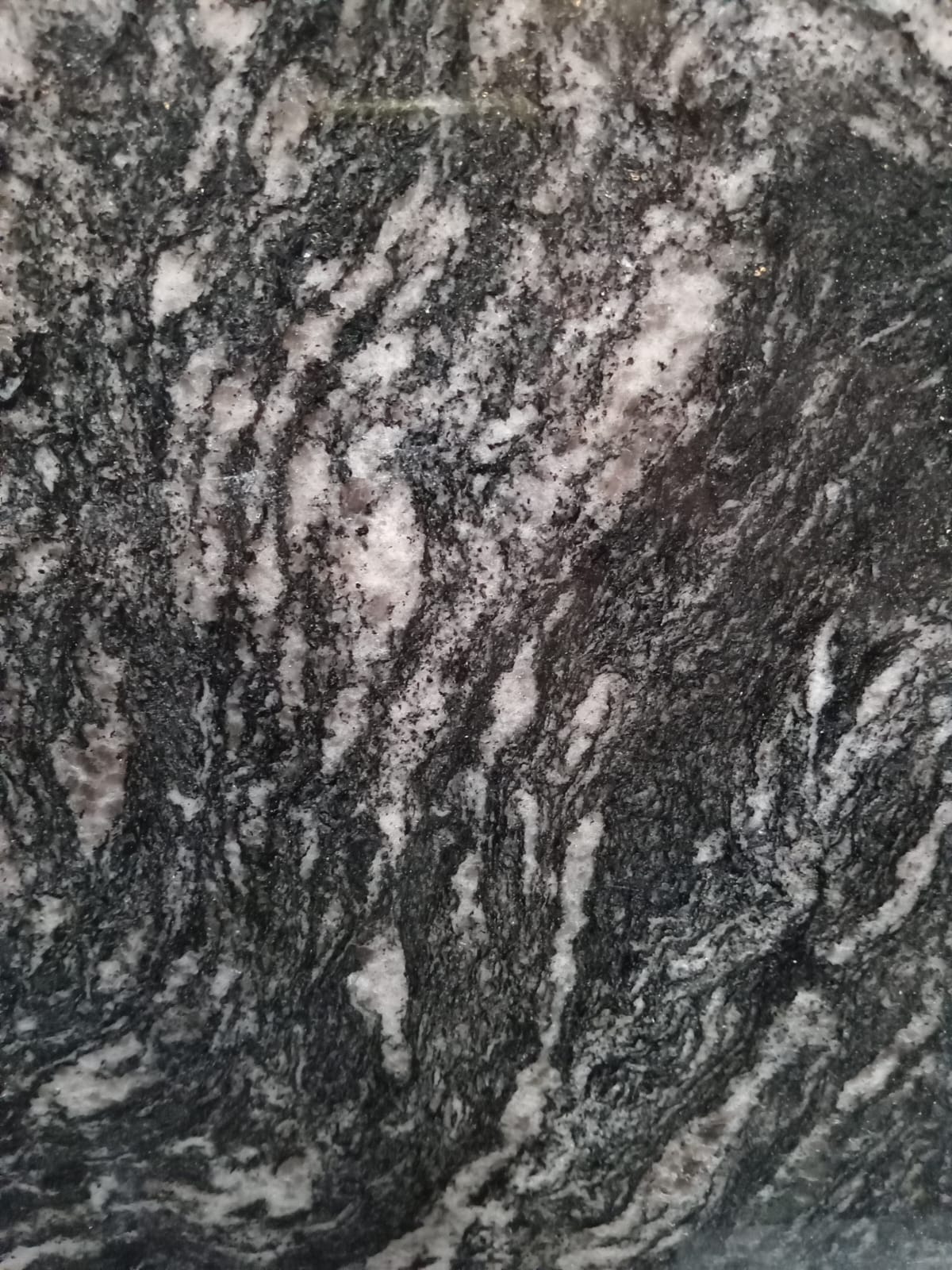 Negro Boreal