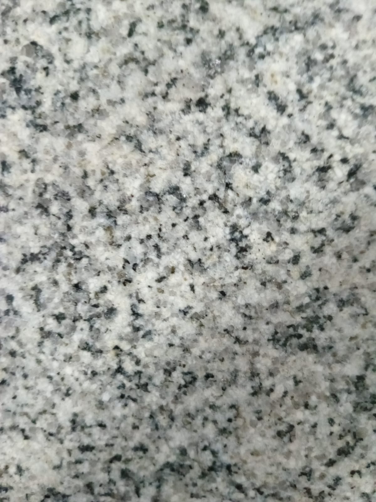 Gris Mara