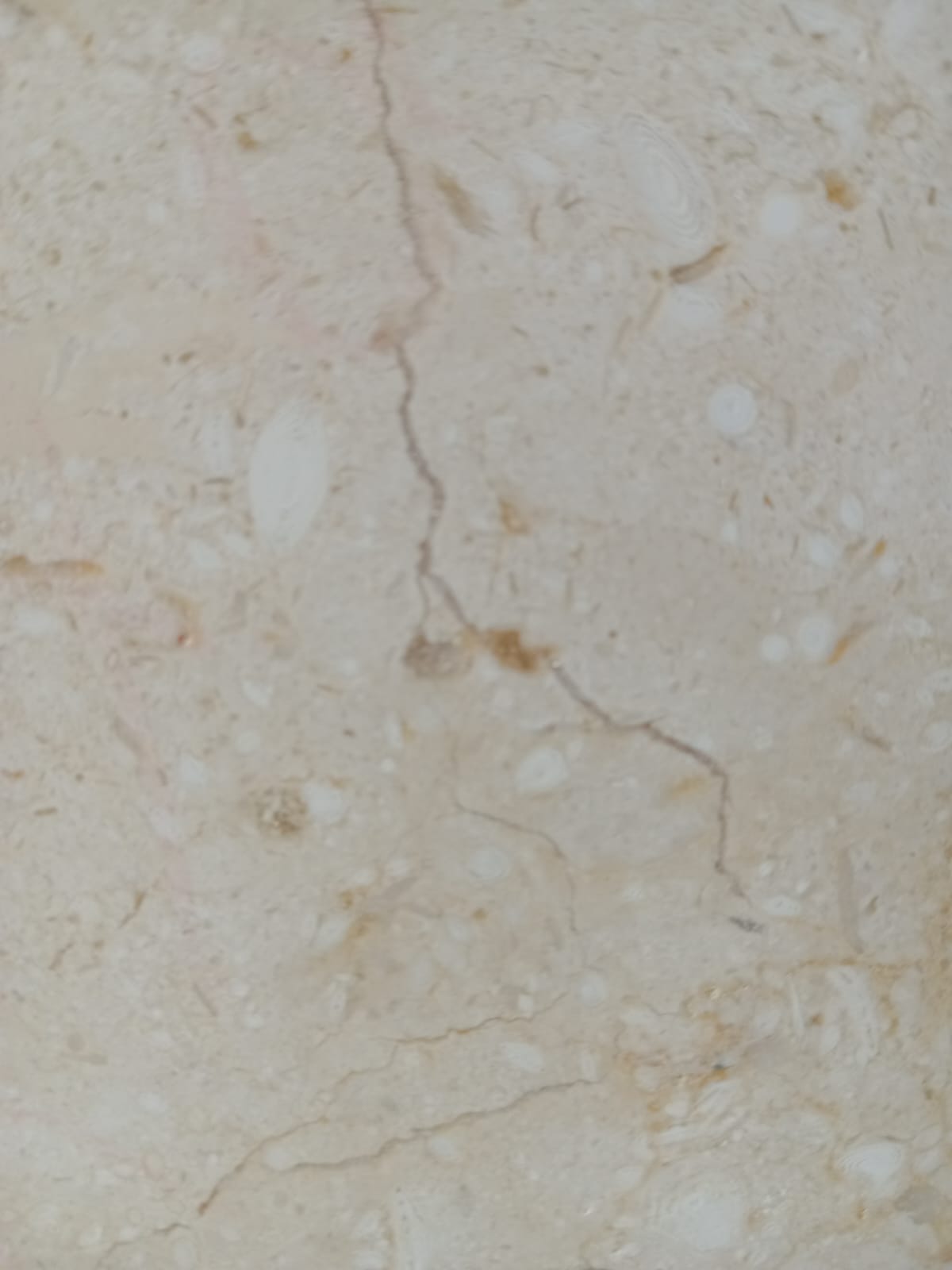 Beige Sahara